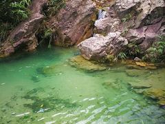 -南海湾森林生态园
