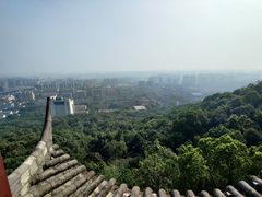 -杭州半山国家森林公园