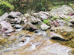 -石台牯牛降景区
