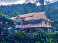 -西双版纳原始森林公园