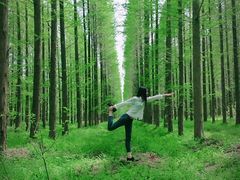 -黄海国家森林公园