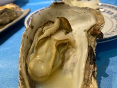 -千岛蚝高压锅生蚝·人参火锅(白云万达店)