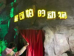 -横店影视城梦幻谷园区
