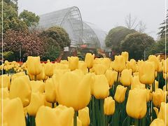 -南山植物园