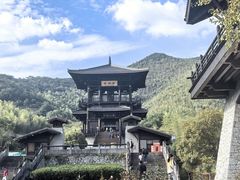 -大唐贡茶院