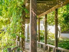 -上海醉白池公园