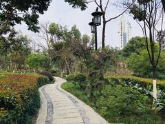 -大渡口区义渡公园