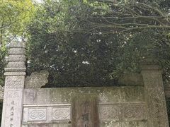 -普陀山风景名胜区-法雨禅寺