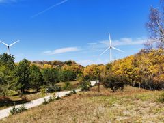 -塞罕坝国家级自然保护区