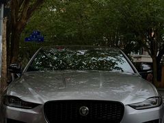 -天猫养车贴膜轻改·蓝电(优匹康桥东路店)