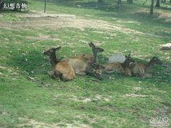 -西安秦岭野生动物园