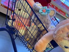 -PAWTOY爪e玩偶店(天兴罗斯福店)