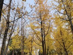 -重庆中央公园(渝北区)