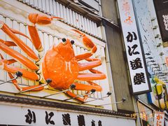 -蟹道乐(道顿堀本店)