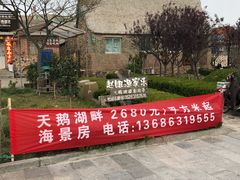 -烟墩角天鹅湖