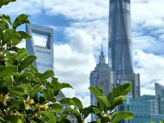 -北外滩滨江绿地