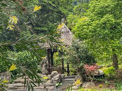 -广州市帽峰山景区
