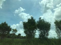 -北海金海湾红树林生态旅游区