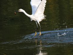 -重庆彩云湖湿地公园