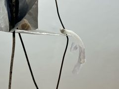 -大馆(前中区警署建築群)