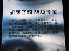 -苏州河梦清园环保主题公园