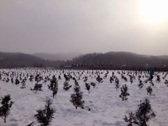 -亚布力新体委滑雪场