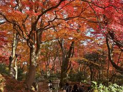 -常寂光寺