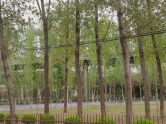 -东郊湿地公园