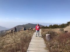 -白草畔自然风景区