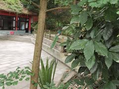 -都江堰普照寺