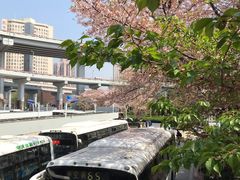 -上海南浦大桥长途旅游客运站
