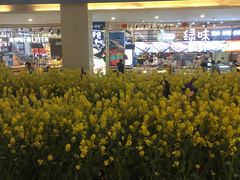 -天虹购物中心(石路店)