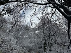 -终南山南五台景区