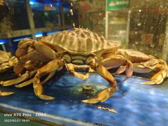 -肥仔文澳门猪骨煲(南京西路店)