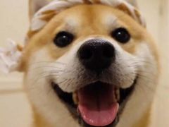 -恒生商业广场(上丰店)