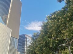 -凯德MALL(望京店)