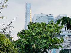 -荔枝公园(福田区)