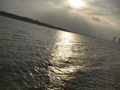 -瑶湖郊野森林公园