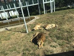 -西安秦岭野生动物园