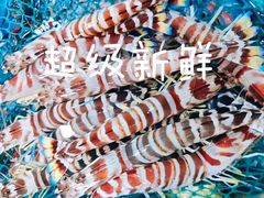 -新欢海鲜坊(赖屋店)
