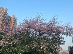 -宝能·all city(南山店)