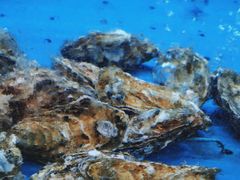 -香山湖渔家大院