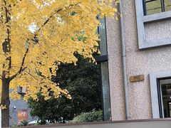 -徐家汇源景区-衡山坊