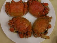 -王宝和酒家(黄浦店)