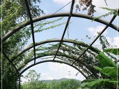 -上方山森林动物世界