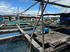 -蓝湾碧波·老字号·疍家非遗海上餐厅