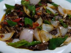 -煲来饱去冷水鱼