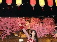 -凤城·食都