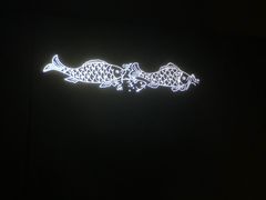 -白鹤梁水下博物馆