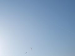 -天津东丽湖风景区